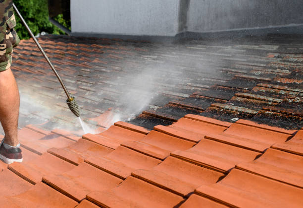 Best Affordable Power Washing  in Cordova, AL