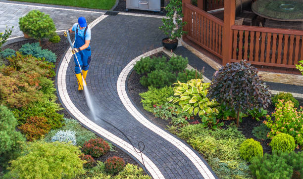 Best Deck Cleaning Services  in Cordova, AL