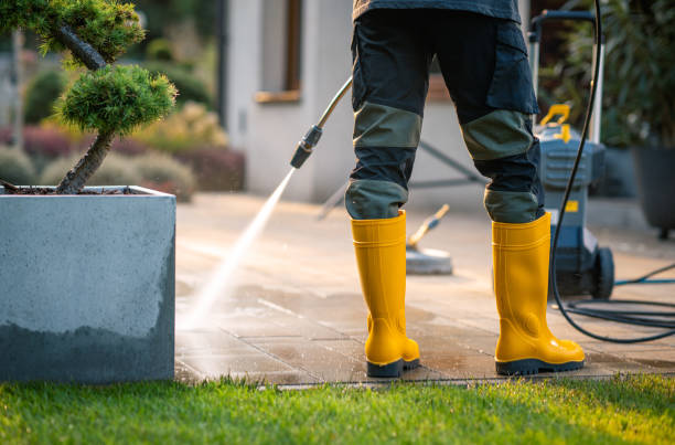 Best Best Pressure Washing Companies  in Cordova, AL